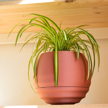 Load image into Gallery viewer, Ripple