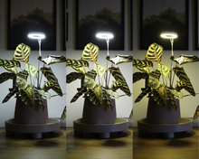 Load image into Gallery viewer, Grow Ring