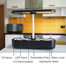 Load image into Gallery viewer, Herb - Hydroponic Herb Garden