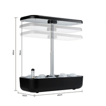 Load image into Gallery viewer, Herb - Hydroponic Herb Garden