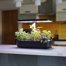 Load image into Gallery viewer, Herb - Hydroponic Herb Garden
