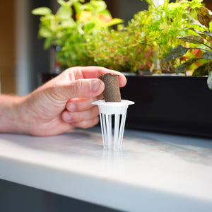 Hydroponic Planting Baskets