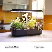 Load image into Gallery viewer, Herb - Hydroponic Herb Garden
