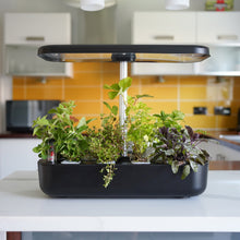 Load image into Gallery viewer, Herb - Hydroponic Herb Garden
