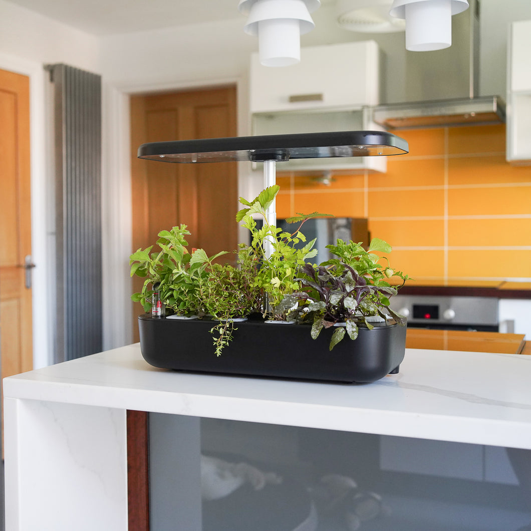 Herb - Hydroponic Herb Garden